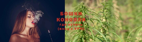 меф Белокуриха